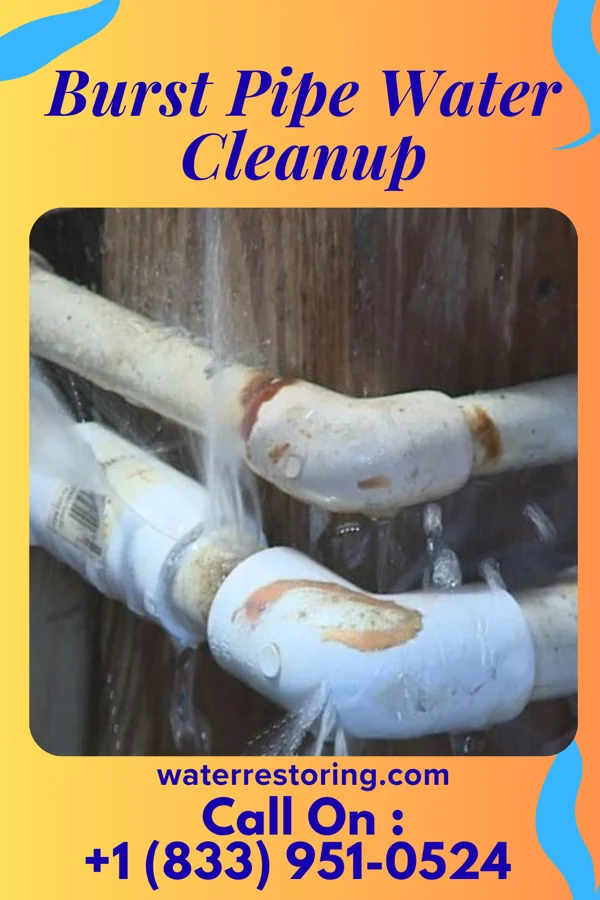 Burst Pipe Water Cleanup in Johnston, SC